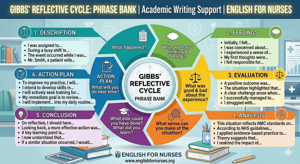 English for Nurses Decodes the Gibbs Reflective Cycle Phrase Bank