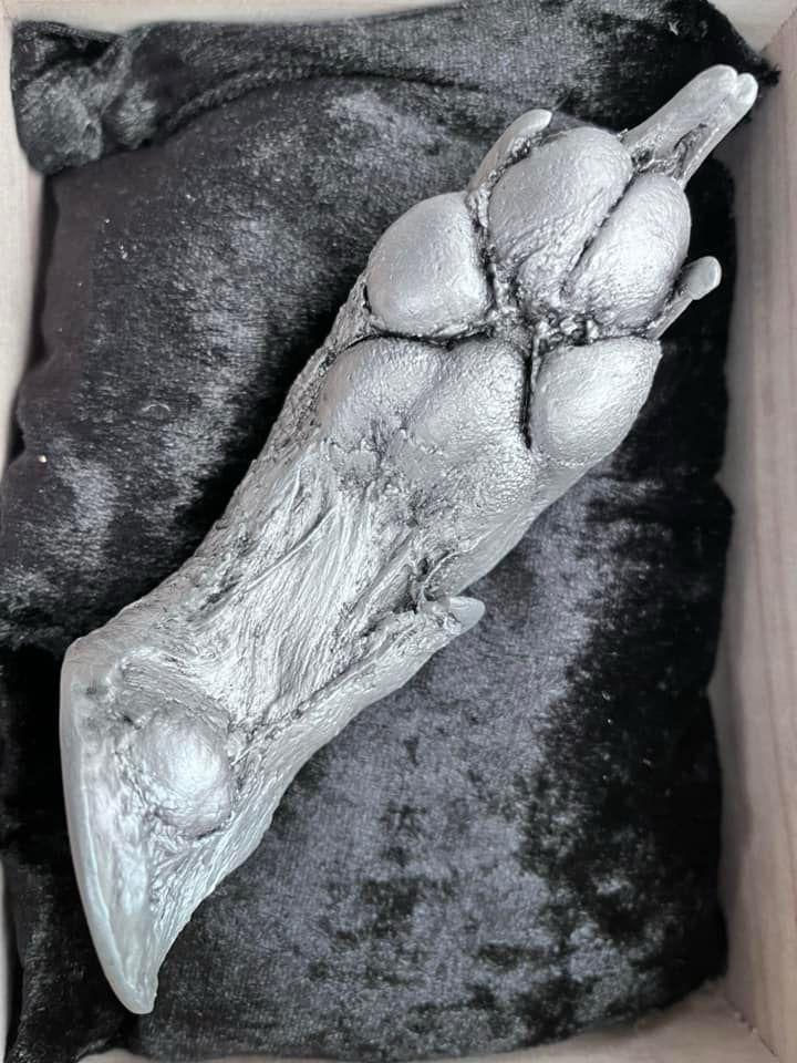 WhatsApp Image 2024-09-26 at 13.24.13_a4989010.jpg