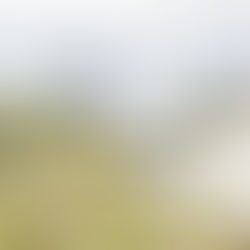 Get Your Lawn Ready for Summer