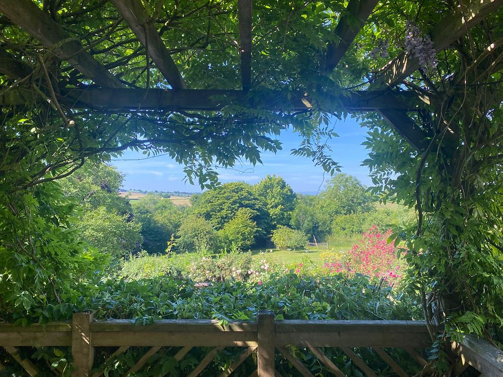 Places to Visit in Devon