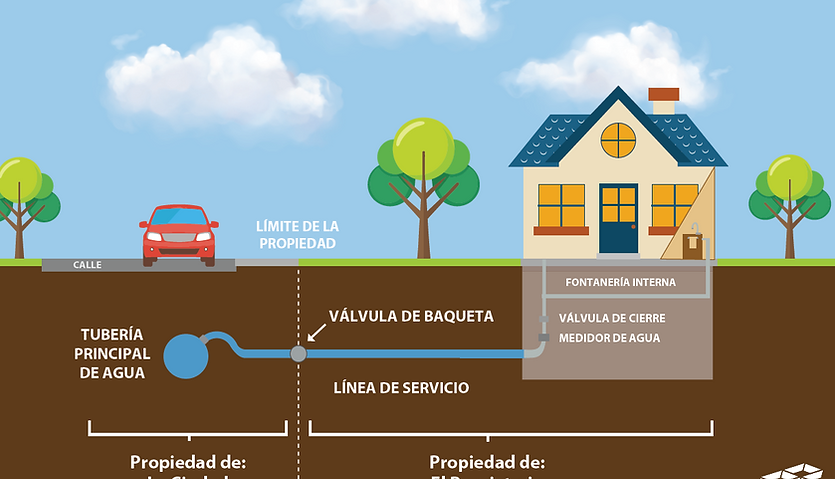 spanish homepage photo.png