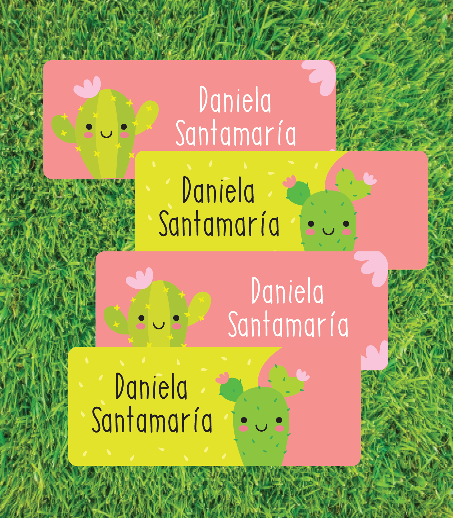 Etiqueta Zapatos Cactus