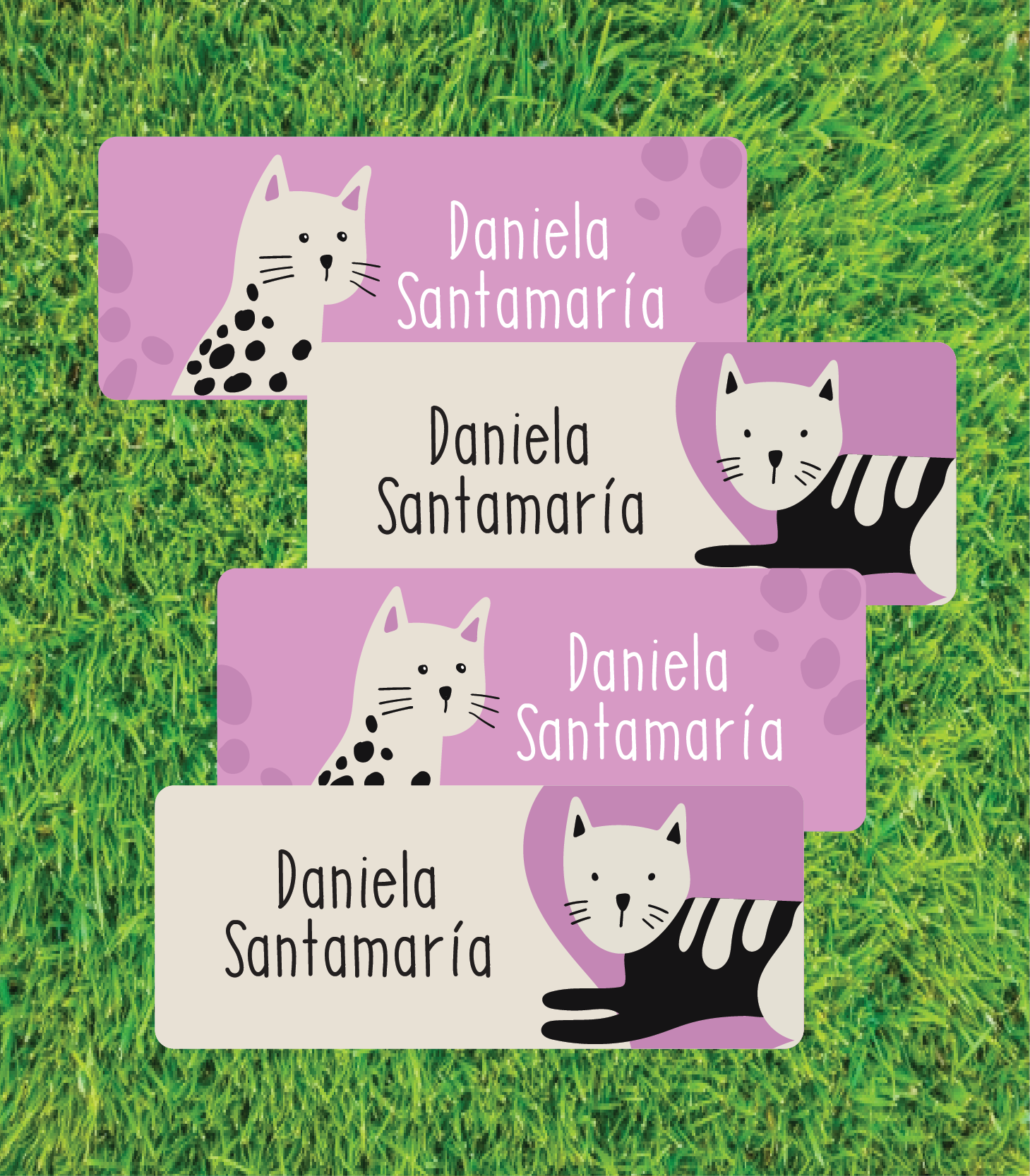 Etiqueta Zapatos Miau