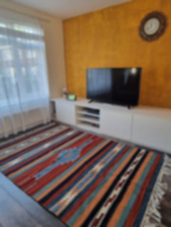 Sakkara: pure wool colourful kilim rug