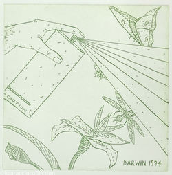 DARWIN, 1994