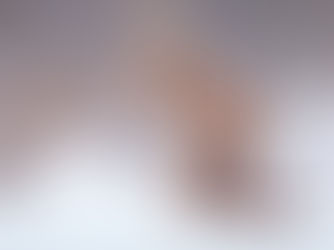 Gevaren en Preventie bij het trainen met vossen in jachthondentraining