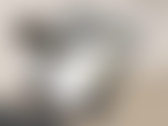 Blogpost over Q&A-pagina van Rivierenpark met uitleg voor nieuwe leden, inclusief info over trainingen, leeftijden, regels, materiaal en werking van de vereniging.