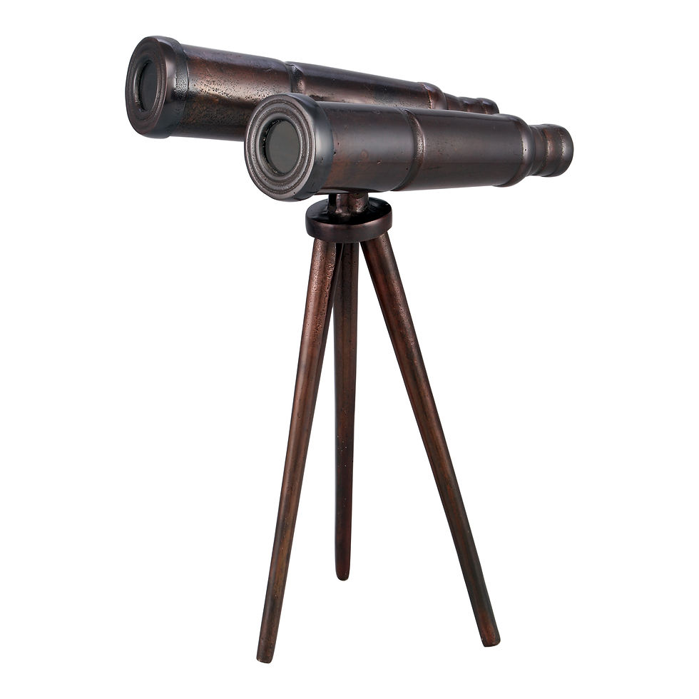 Thumbnail: BINOCULARS BRONZE