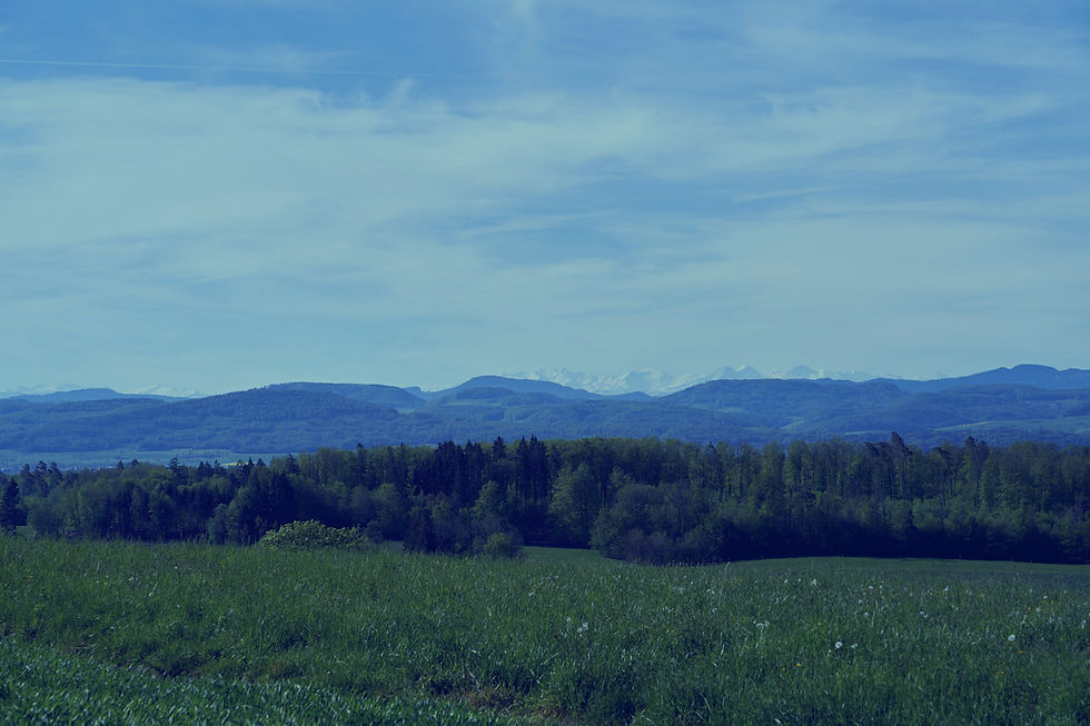 wolfgang-hasselmann-LlEJAHu8z8g-unsplash_edited.jpg