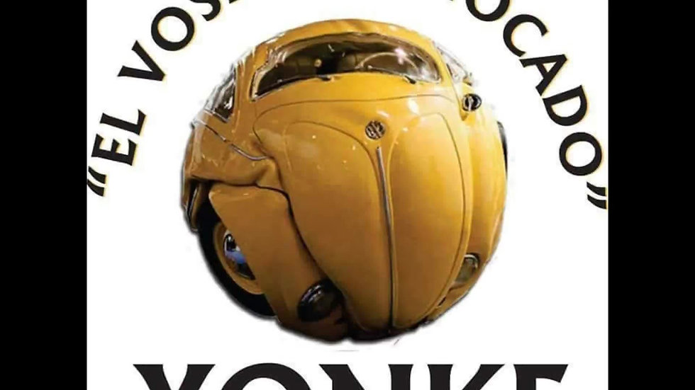 Yonke Leon Gto Volkswagen INICIO | yonkeenleon