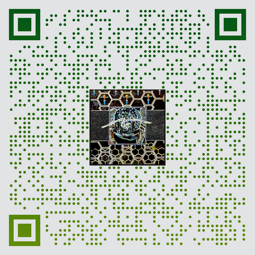 4.Reina de la vida / CODE-Qr