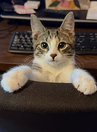 544127944_18523384441060514_6151471280393896069_n (1)_edited.jpg