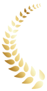22479347_edited.png