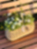 line_oa_chat_240813_092731.jpg