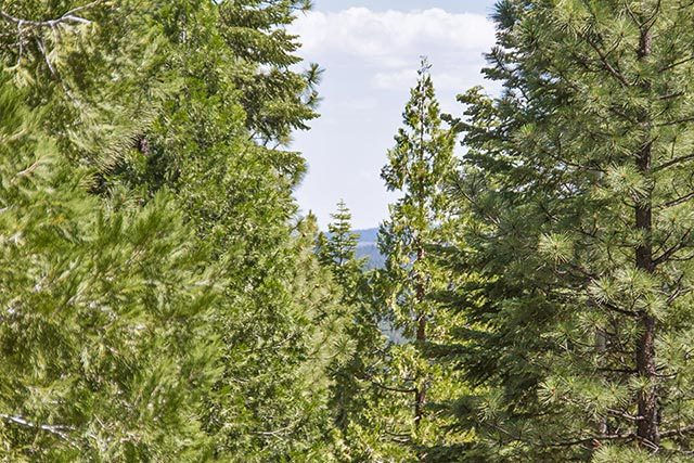 Thumbnail: .92 Acres In Modoc County California - Cal Pines