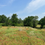 Thumbnail: 21.2 Acres in Comanche County, TX