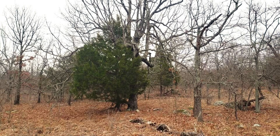 Thumbnail: Owner Financing! 3.01 Acres in Pittsburg County, OK