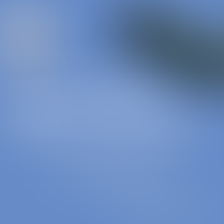 Beyond Whale Watching