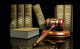 law1.webp
