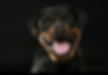 Screenshot_20220204-124835_Facebook.jpg
