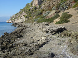DSC03831