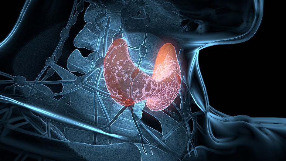 endocrinology2.jpg