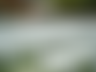 Event Rentals for Furniture: Renting Chairs and Tables for Events