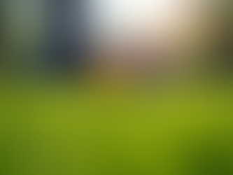 Understanding Lawn Care Pricing Factors: A Guide to Lawn Care Services Cost