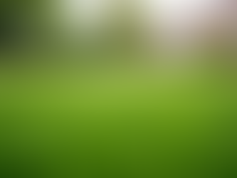 Essential Key Questions for Lawn Services: What You Need to Know