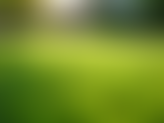 Effective Lawn Service Comparison Tips for a Healthier Lawn