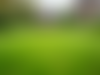 Finding Budget-Friendly Lawn Services: How to Keep Your Lawn Beautiful Without Overspending