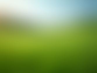 Factors Influencing Lawn Care Services Cost: Lawn Care Pricing Insights