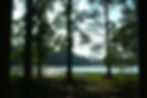 lakeview.jpg