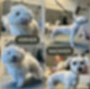 photo_2024-09-01_17-27-59