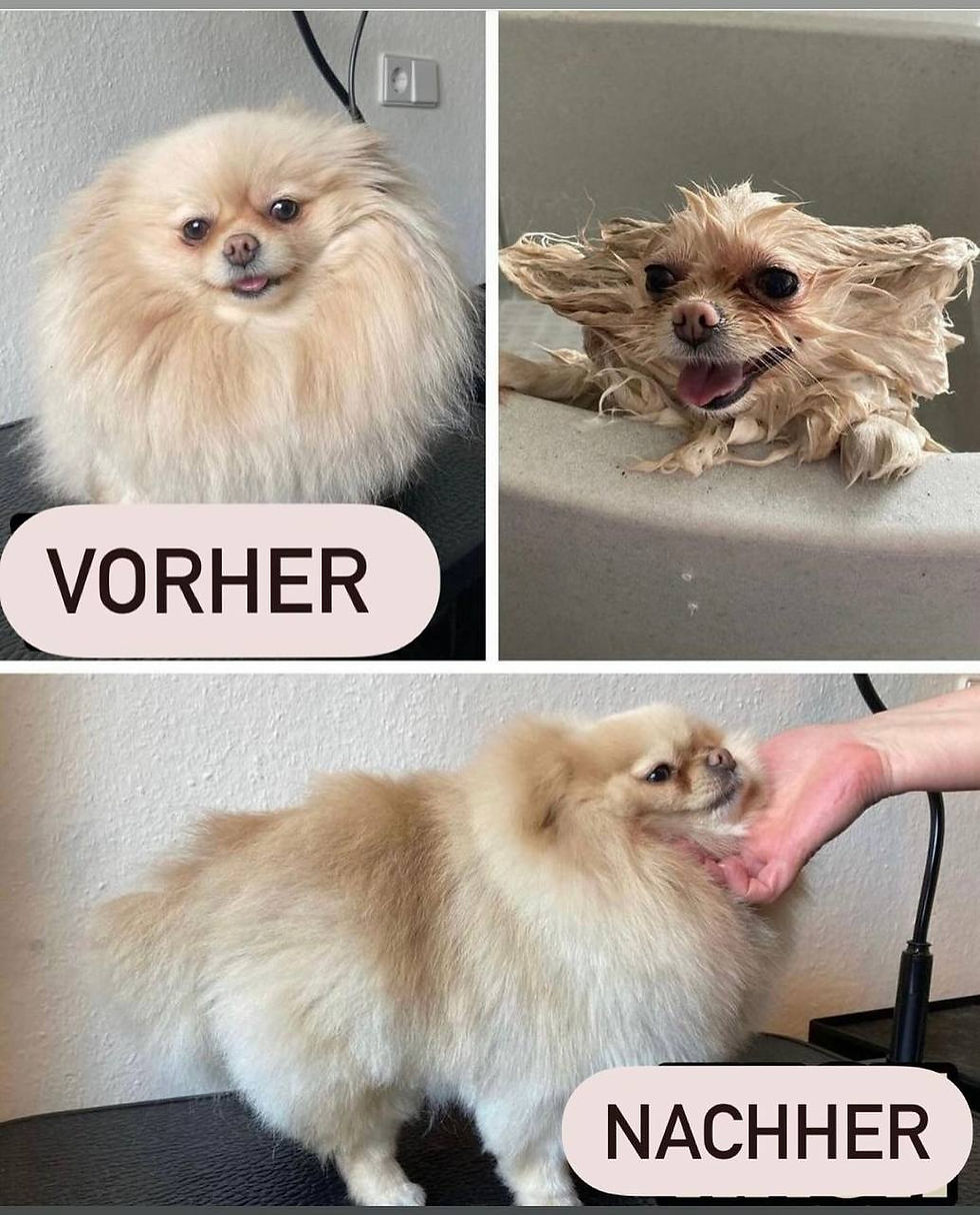 photo_2024-09-01_17-27-36