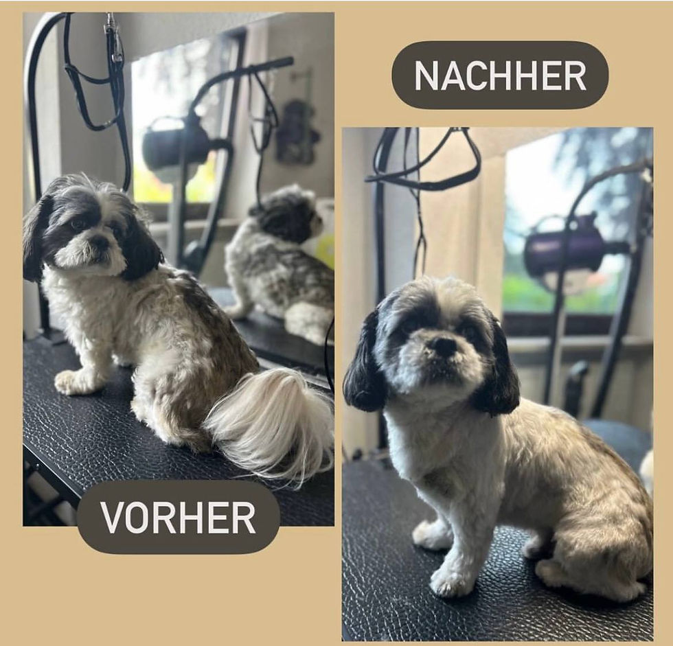 photo_2024-09-01_17-26-59