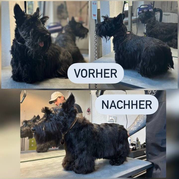 photo_2024-09-01_17-28-08