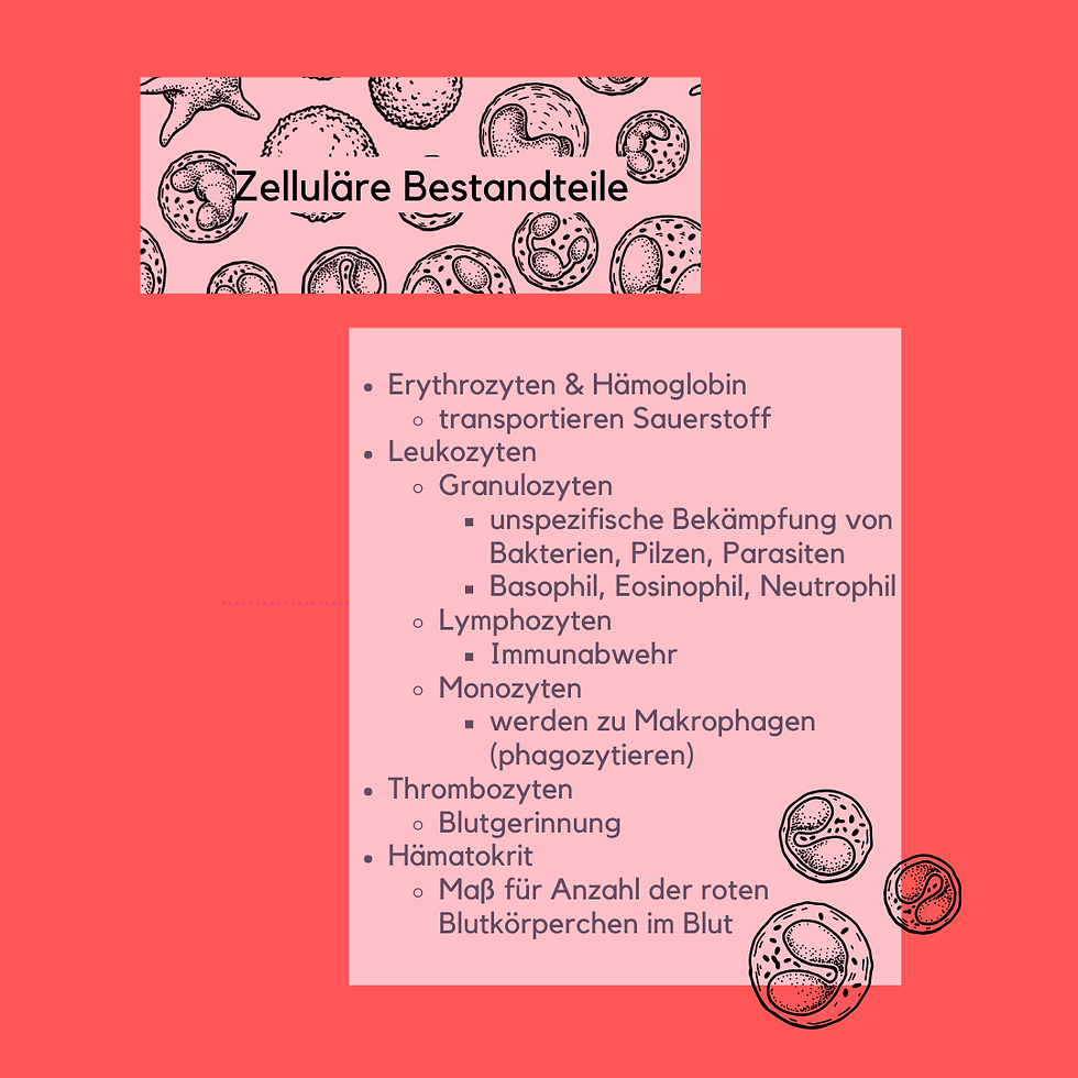Miniaturbild: Von Hämoglobin bis Hämatokrit!