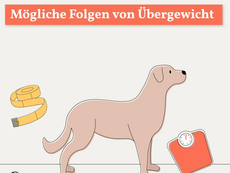Übergewicht - gesundheitliche Risiken und Folgen