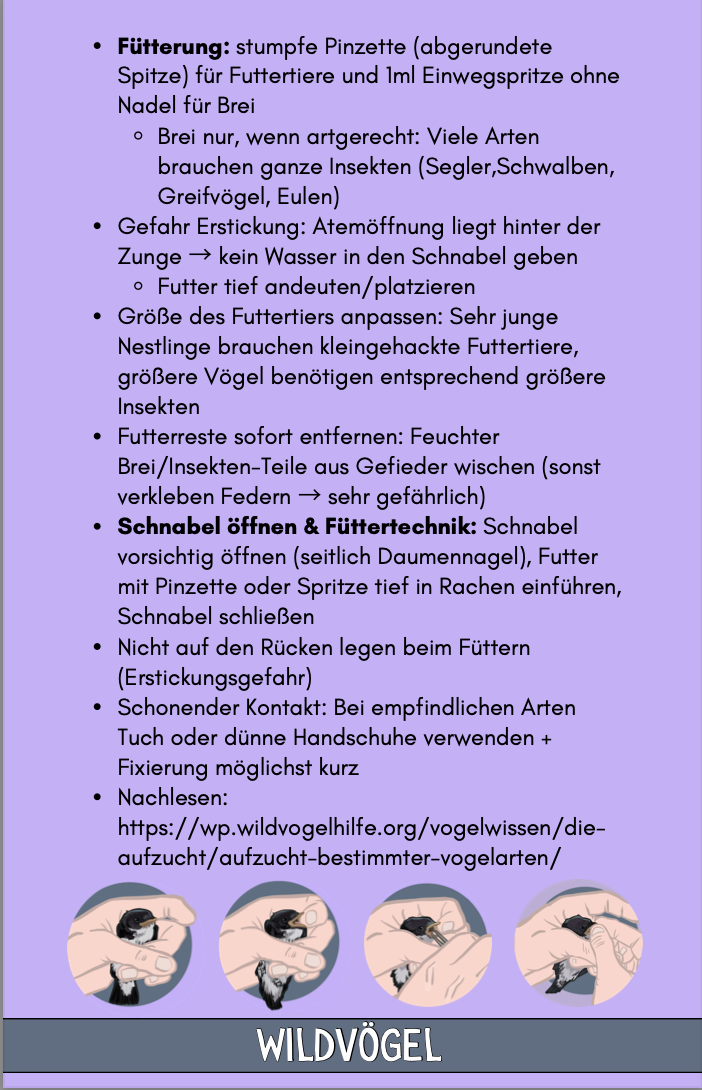 Miniaturbild: Wildtier-Aufzucht kompakt — Praxisleitfaden für Pflegestellen