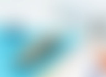 25% Additional Tariff on Indian Products Removed