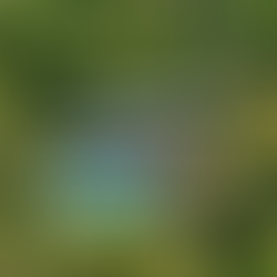 3D-Visualisierung von Immobilien