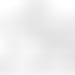 Professional floor plan based on the client's sketch