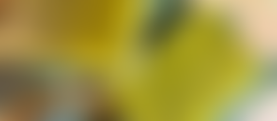 How To Make A Lemon Poppyseed Soap