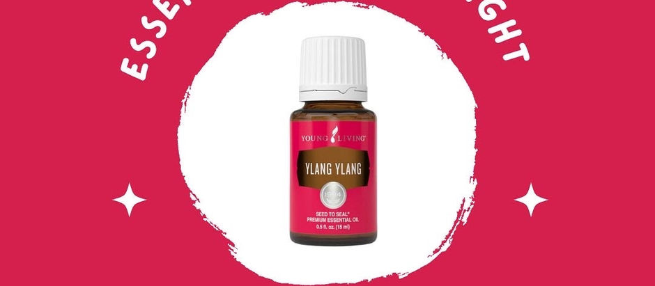 Ylang Ylang Essential Oil Spotlight