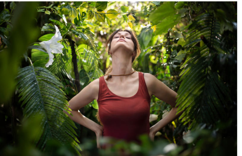 nature