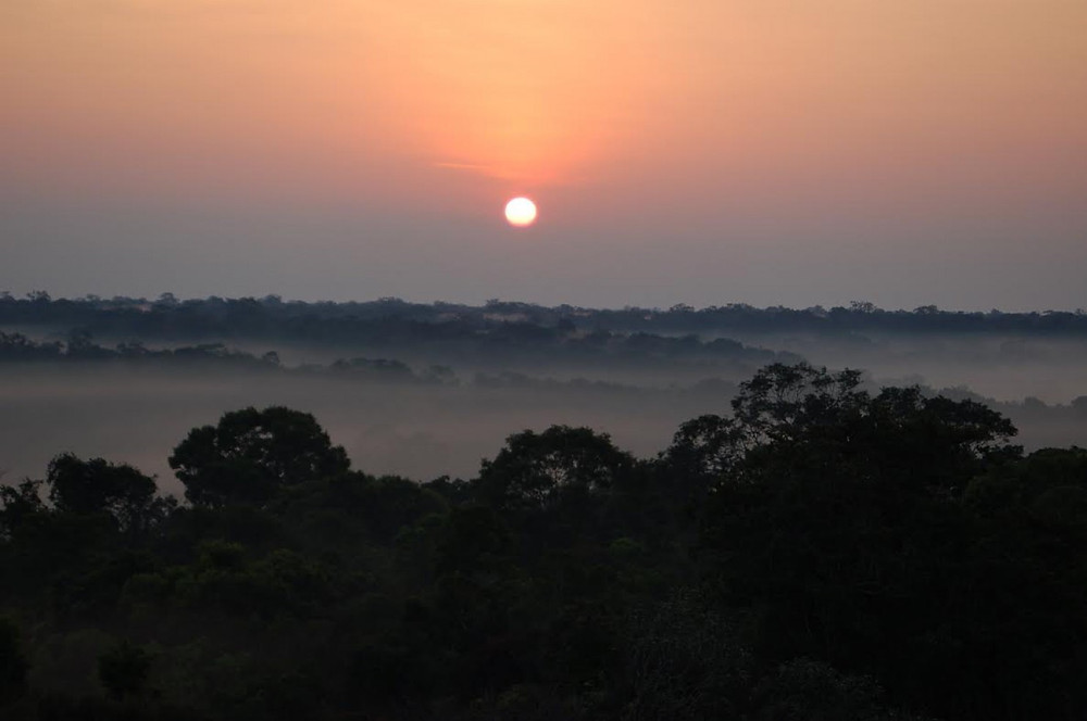 Amazonian Tropical Rain forest