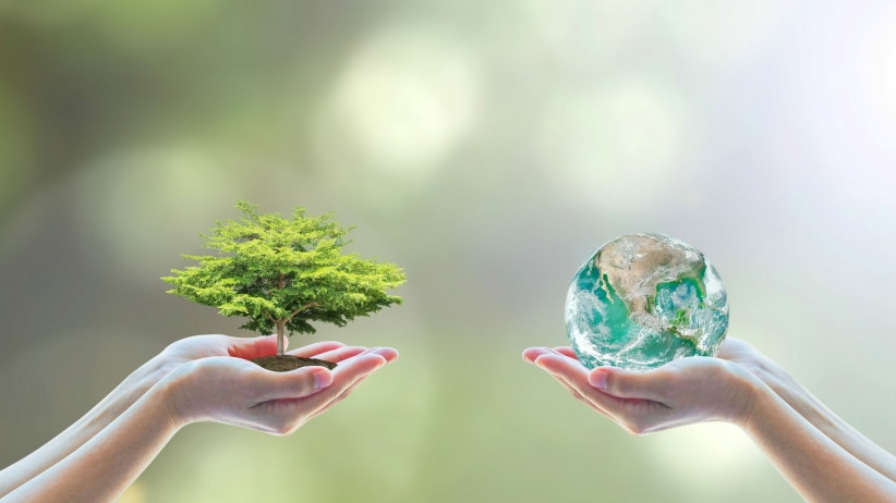 sustainability