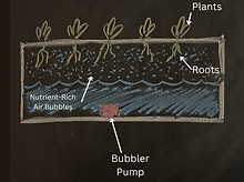 showcasing a bold and earthy design inspired by urban agriculture and community farming values."
