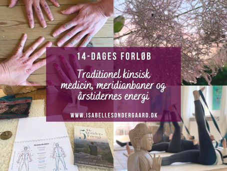 TRADITIONEL KINESISK MEDICIN
